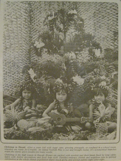 maui uklulele kids